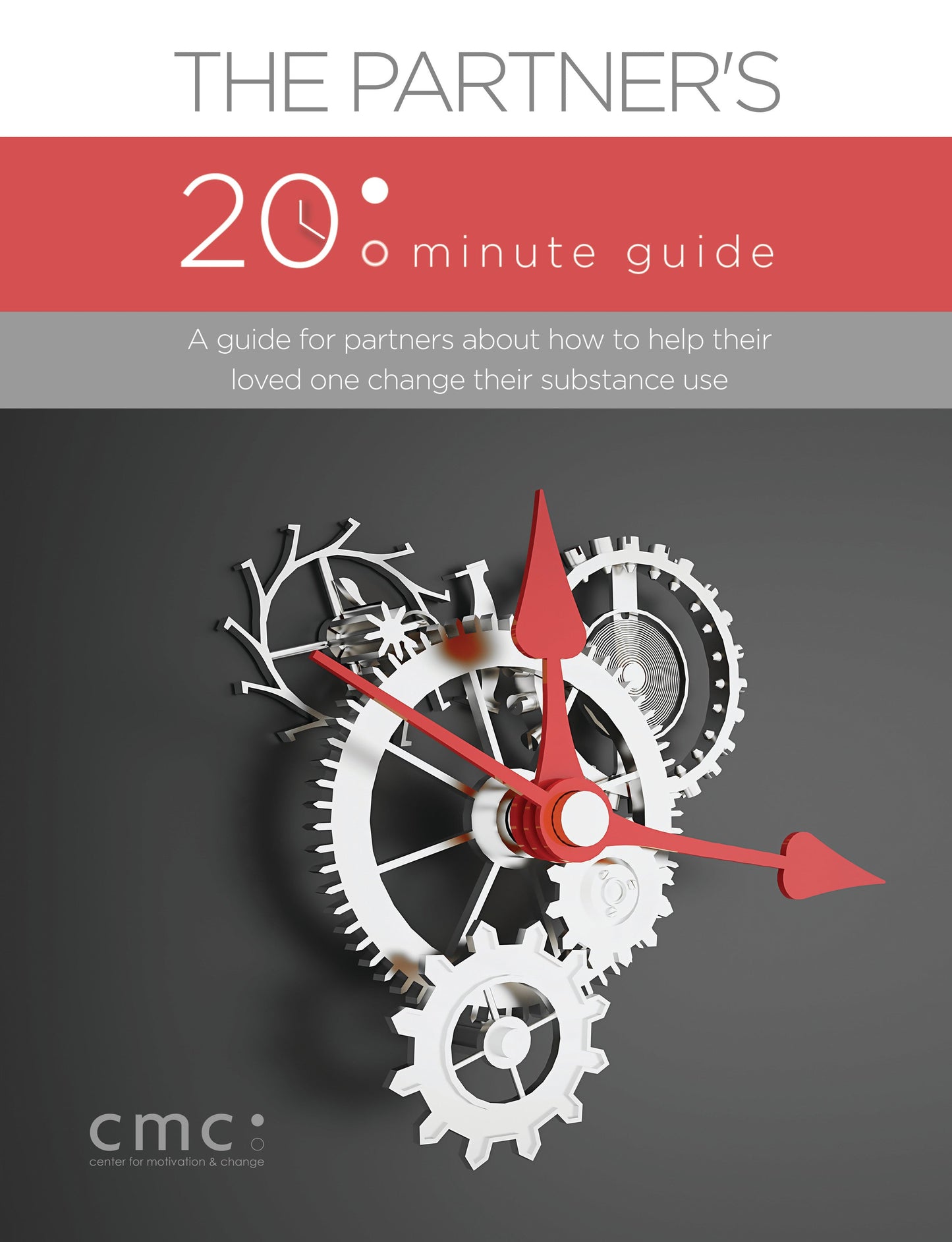 The Partners 20 Minute Guide (Print Edition)