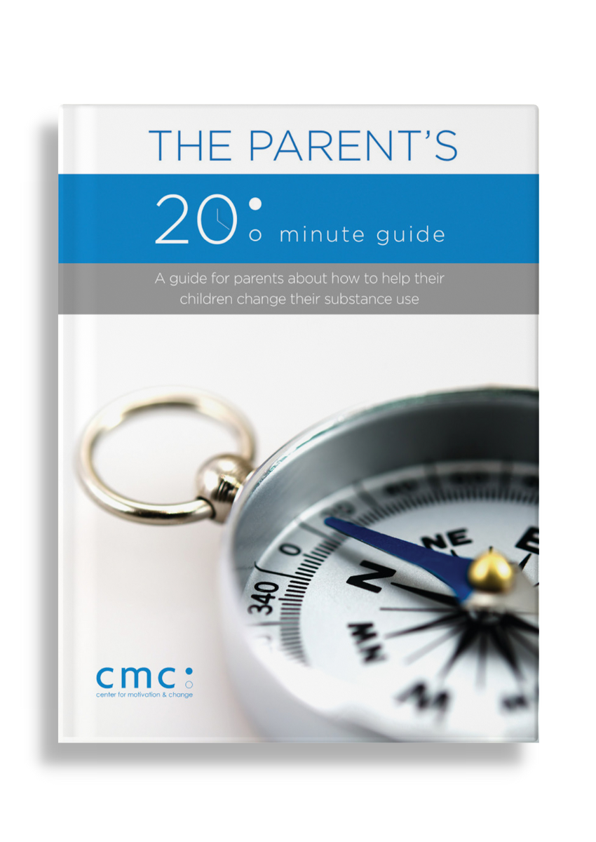 Parent Guide Picture Example The Parent's 20 Minute Guide (Digital Version)