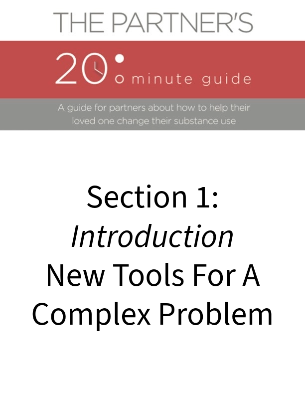 20 Minute Partner Guide - Section 1: Introduction